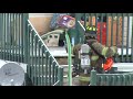 Riverview Fire Dept responded to this kitchen fire just before 9:30am this morning at 12 Suffolk unit 13. Residents of the home got out ok and the Firemen knocked down the fire in the kitchen and were checking to see if the fire got in the walls. Fire started when the resdient turned on the stove. Video aired on First Local News , Rogers TV.