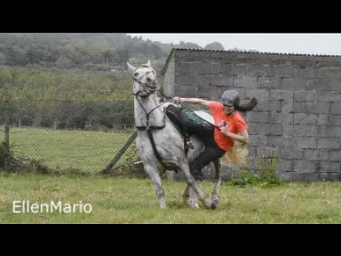 Horse Falls Compilation - Youtubers Falling Off Their Horses - Thrills and Spills