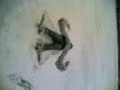 Snow Angel