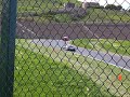 Ferrari F430 chasing Stradale at Infineon Ferrari F430 chasing Stradale at Infineon