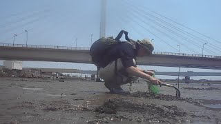 江戸前のシジミはやっぱり旨い! 多摩川河口で潮干狩り&テナガエビ
