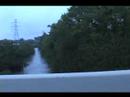 Village Creek (abridged)