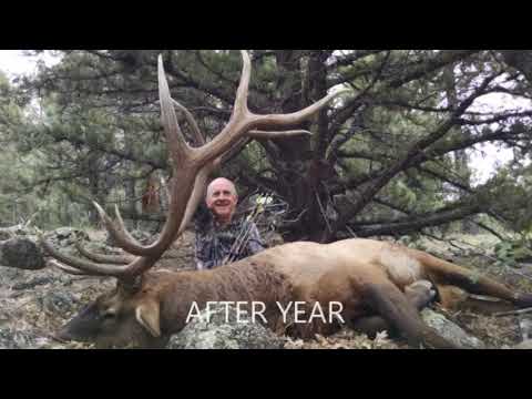 arizona-archery-elk-hunts