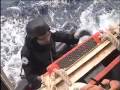 JMSDF joins Indian, U.S. Navies in Exercise Malabar