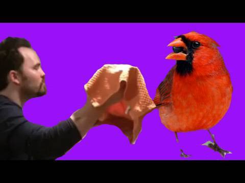 Daily Vlog - Day 18: Animal Rescue