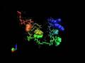 Protein Folding- Simbios