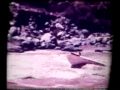 Colerado River battle