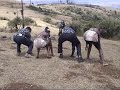 Pole sana by simba mundu