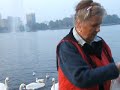 swans in Alster Lake in the city of Hamburg
