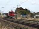ED75　貨物列車
