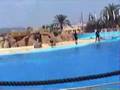 Španělsko Marineland 2006 (1)