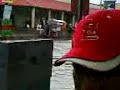 en 2 segundos que llovio como quedo