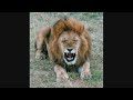 comedy response.wmv