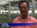 Taiwan's orchid business blossoms