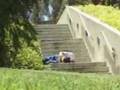 Skateboarding Bails (Molly's Way - Neverending)