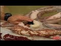 [Video]