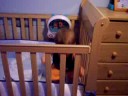 Jumping in Bed