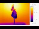 infrared newborn butterfly