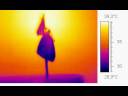 infrared newborn butterfly