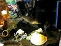 Unterwasserwelt