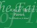 King of The Fairies - Tin Whistle Generation Bb