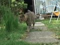走るツネオ君! tsuneo runs