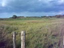 three ponds to the north