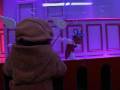 videos de Luz 'verde' para Natal em Paris