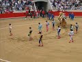 Reaparicion Jose Tomas en Barcelona
