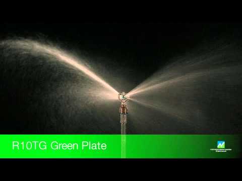 Green plate