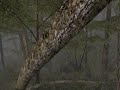 Vietcong-Game Vietcong-Game