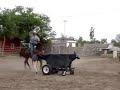 our homemade roping dummy