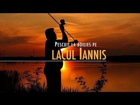 Pescuit la boilies pe lacul Iannis