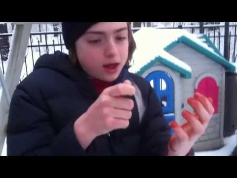 Snowpacalypse Part 1