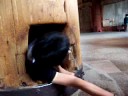 Japan Video 2 Japan Video 2