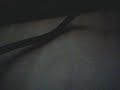 Saturn162's webcam recorded Video - November 22, 2009, 05:32 AM