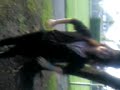 Louisa tries to climb a tree :]
