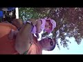 Baby Nora dances with Daddy at the wine festival