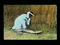 ethiopia-music