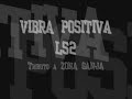 los separa2 vibra positiva