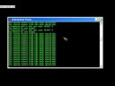 Auto_Killer Killed Auto.exe and Bar311 Variants