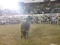 gansito vs cola de plata hueyapan morelos en puebla