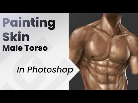 how to paint pp