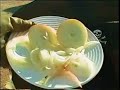 The Gyro Slicer \"Get Yours Today!\"