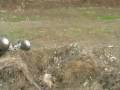 videos de FG 013