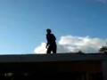 parkour-free run