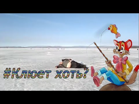 клюет нормально клюет нормально