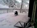 videos de basquiat gioca con la neve