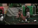 The Wizard of Paws 3 of 3