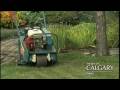 Aerating Your Lawn